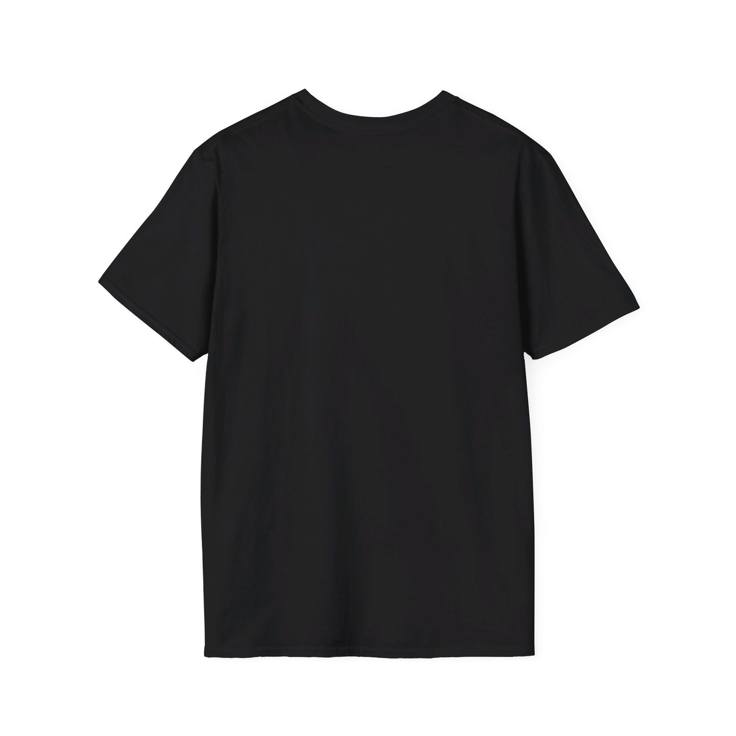 #TMFINR Conspiracy Theory Plane News Q News School Viral Trending Unisex T-Shirt